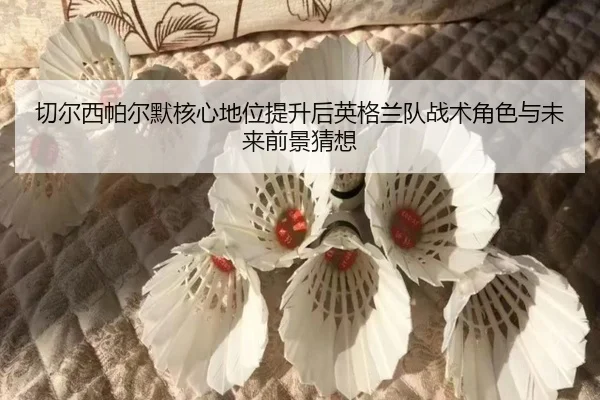 切尔西帕尔默核心地位提升后英格兰队战术角色与未来前景猜想