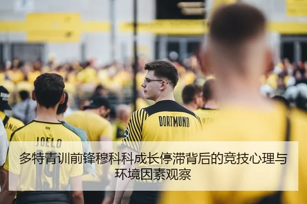 多特青训前锋穆科科成长停滞背后的竞技心理与环境因素观察